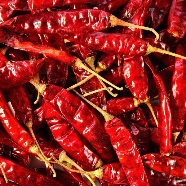 Dry Red Chilli